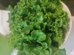 生菜-海月轩海鲜豆捞(紫金塔店)
