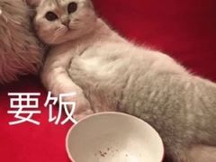-CoCo都可(合生汇店)