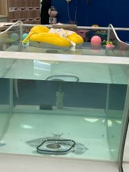 -海豚啵啵体智能游泳馆(惠山万达广场店)