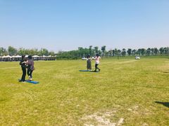 -春花秋色城市公园