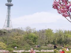 -青岛中山公园-索道售票处