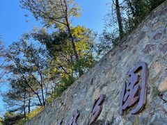 -大奇山国家森林公园