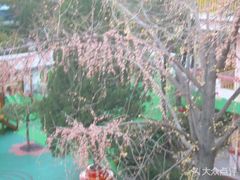 -北京林业大学幼儿园