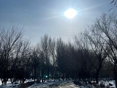 -丁香湖公园