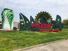 -上海都市菜园