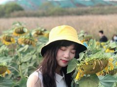 -映月湖中央公园