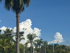 -海岛八号龙虾烧烤田鸡(蓝天路总店)