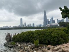 -深圳湾公园(南山区)