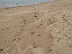 -南戴河旅游度假区