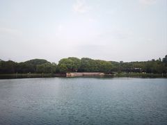 -新洲生态园