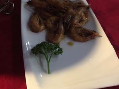 -云中小雅