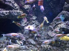 -成都浩海立方海洋公园