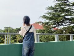 -公主楼