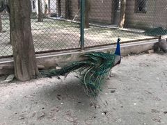 -南京金牛湖风景区