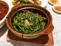 -天辣(金桥啦啦宝都店)