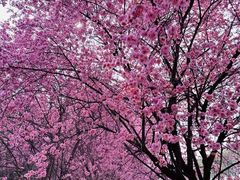 -渭河城市绿地运动公园