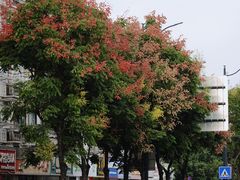 -南通濠河风景名胜区