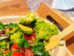 -油梨树AVOCADO TREE(嘉里中心店)