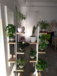 -一个差评成就的纹眉店
