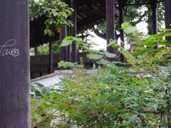 -常熟方塔园