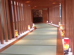 -重庆南山海昌汤都