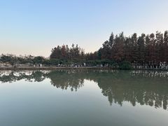 -乌村