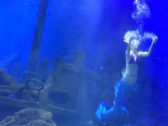 -江和美海洋公园