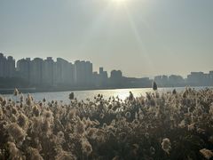 -江心屿景区