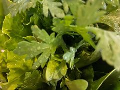 -羊家胡同·龙虾烧烤火锅(龙汇路店)