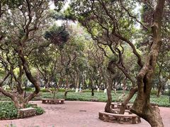 -黄埔荔枝公园