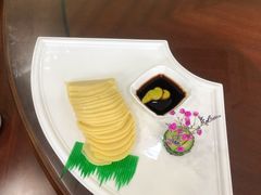 -椿不老