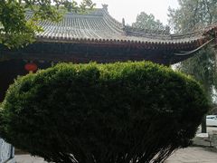 -兴教寺