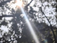 -广东花都湖国家湿地公园