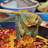 在深圳竟然也能吃到手工现炒底料的重庆火锅！