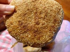 素烧饼-李小老烧饼(常营民族家园店)