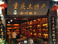 -重庆歌乐山烈士陵园