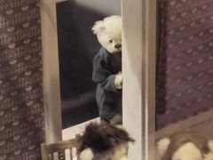 -济州岛泰迪熊博物馆