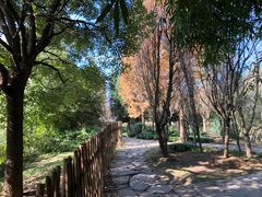 -贵阳市花溪国家城市湿地公园