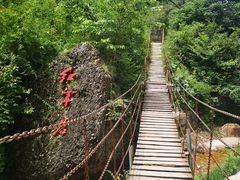 -照金香山旅游景区