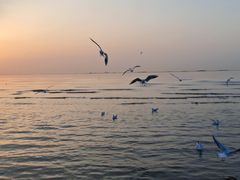 -金梦海湾浴场