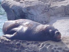 -珠海长隆海洋王国