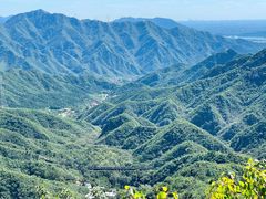 -大岭沟猕猴桃谷风景区