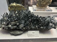 -湖南省地质博物馆