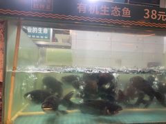 -老傅家湘潭水煮活鱼店(众一国际店)