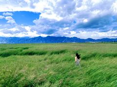-敕勒川草原