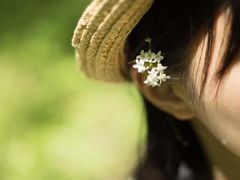 -合肥滨湖国家森林公园