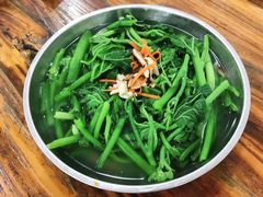 南瓜苗-牛恒濑粉