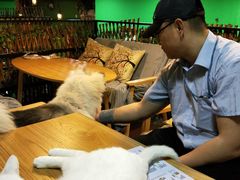 大堂-李小姐の猫咖啡馆(五角场店)