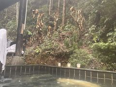 -明月山天沐温泉度假村