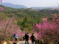 -天台山赤城山景区